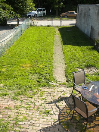 current-tiny-backyard